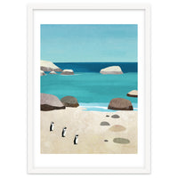 Penguins, Boulders Beach
