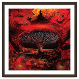 Socotra Dragon Blood tree thumbnail