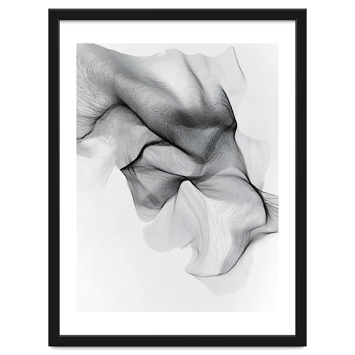 Abstract Black And White Flowing Lines Forming Organic Shapes And Forms