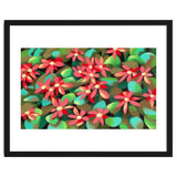 Red flowers thumbnail