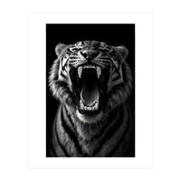 Roaring Tiger portrait  (Print Only)