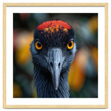 Close Up Of A Strikingly Beautiful Bird Face thumbnail