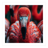 Close Up Flamingo Head With Bright Red Feathers (Print Only) thumbnail