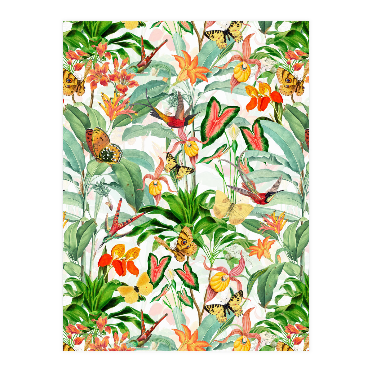 Birds And Butterflies In Tropical Jungle (Print Only)
