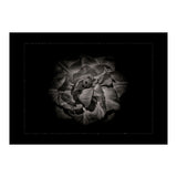 Backyard Flowers In Black And White No 81 with Border (Print Only) thumbnail
