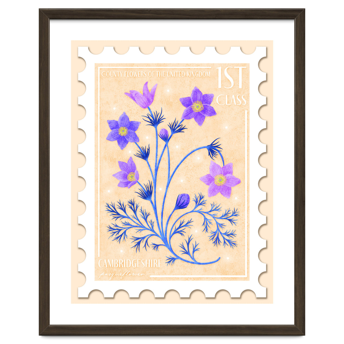 The Cambridgeshire Pasqueflower Postage Stamp