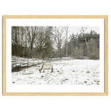 White horse in the snow field thumbnail