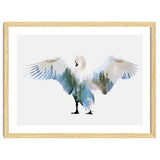 Swan thumbnail