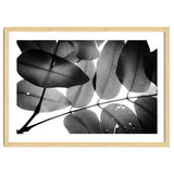 Branches and Leaves, 2016, 3 thumbnail