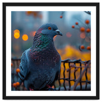 Pigeon With Water Droplets