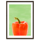 Red Bell Pepper, Fresh Kitchen Art, Capsicum Chilli thumbnail