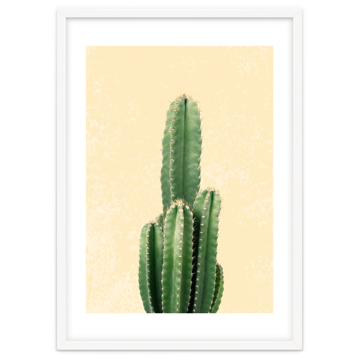 Tall Cactus, Minimal Desert Saguaro Art