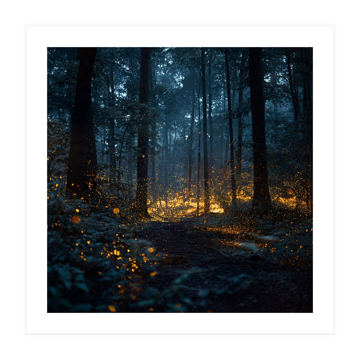 Enchanted Midnight Forest with Glowing Fireflies (Print Only)