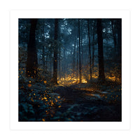 Enchanted Midnight Forest with Glowing Fireflies (Print Only)