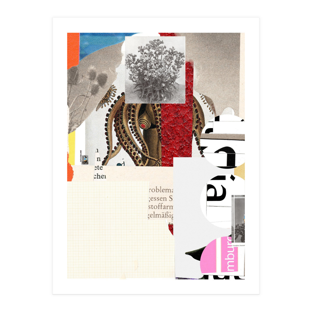 Another Daydream Night Flow · In The Eye Of The Octopuss * (Print Only)