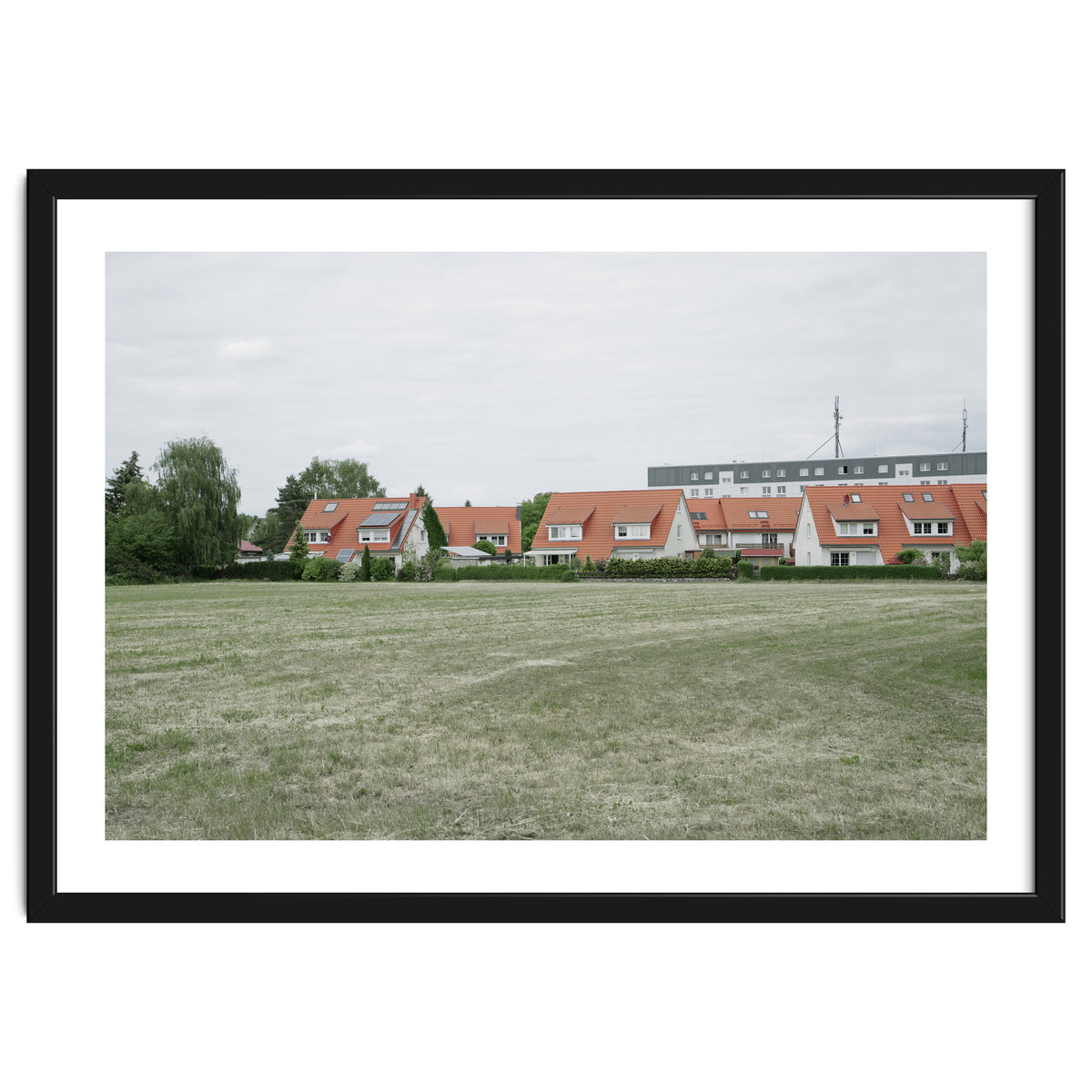 Red roof houses in the green field