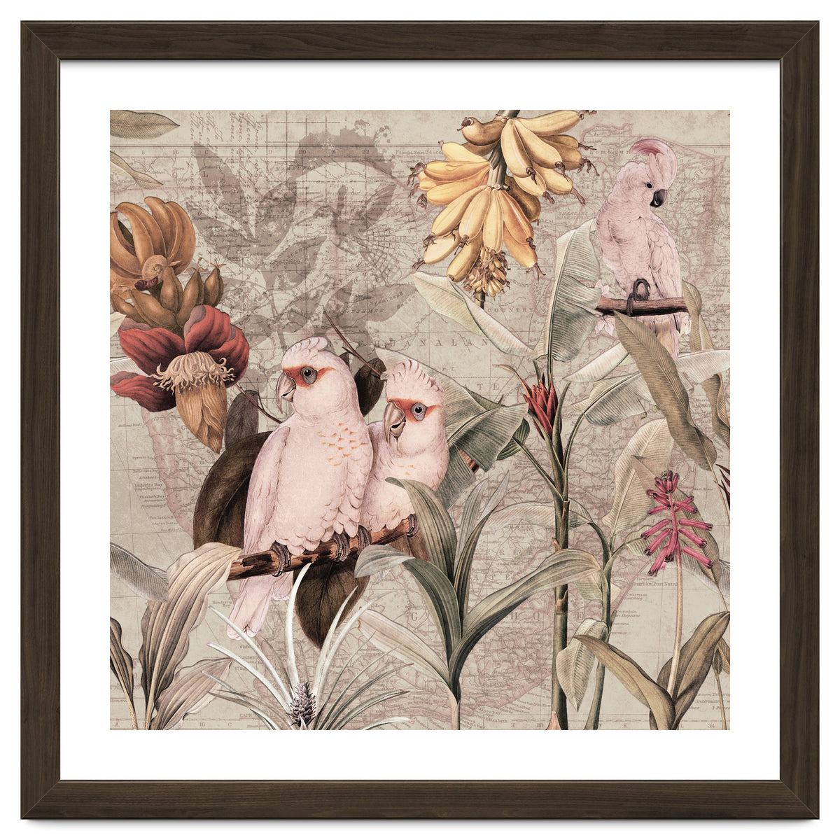 Cockatoo Exotic Bird Jungle