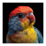 Close Up Colorful Parrot Portrait Vivid Plumage (Print Only) thumbnail