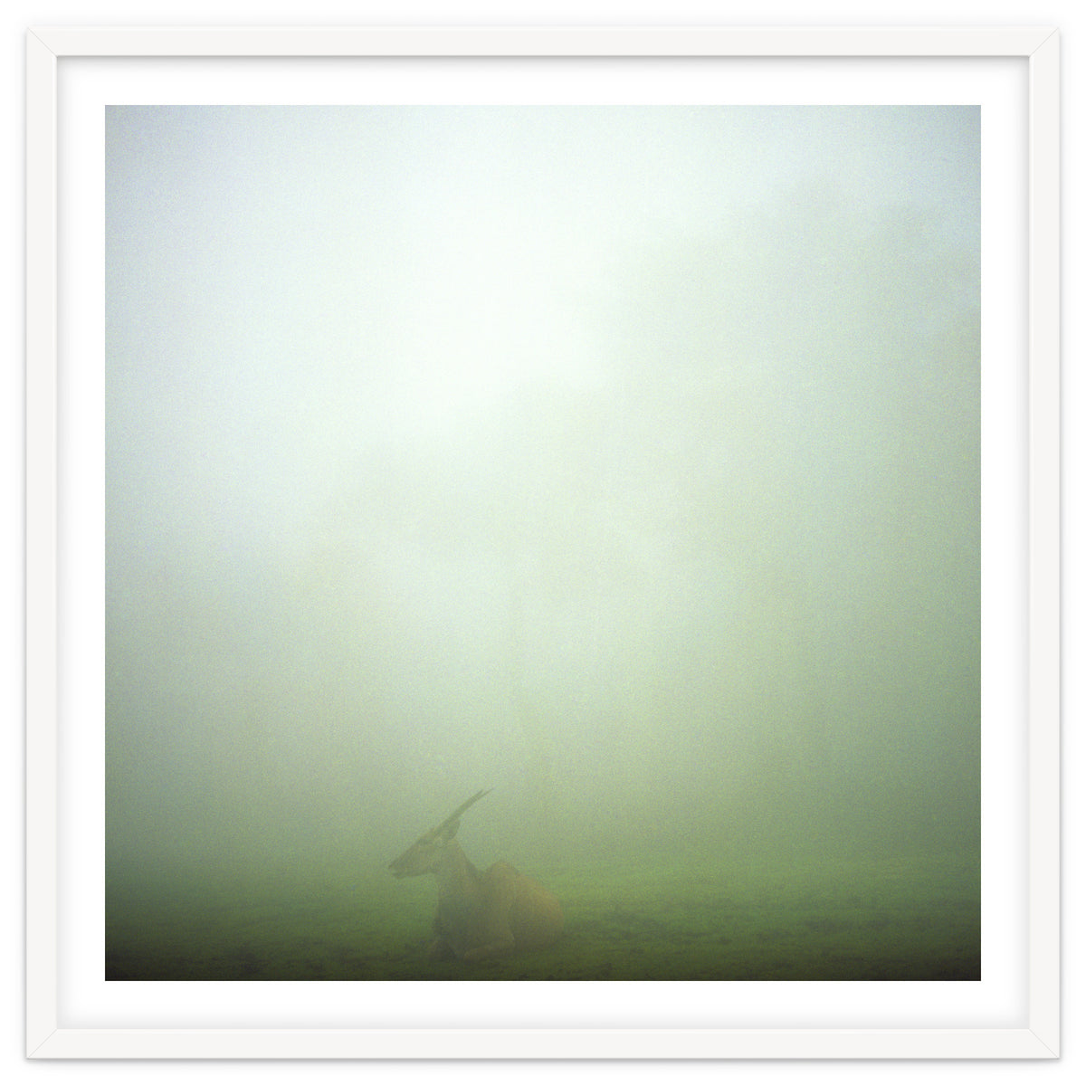 Silence of breath - 06