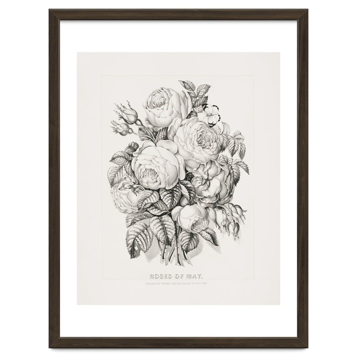 Currier & Ives – Rose of May (1870)