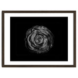 Backyard Flowers In Black And White No 72 with Border thumbnail