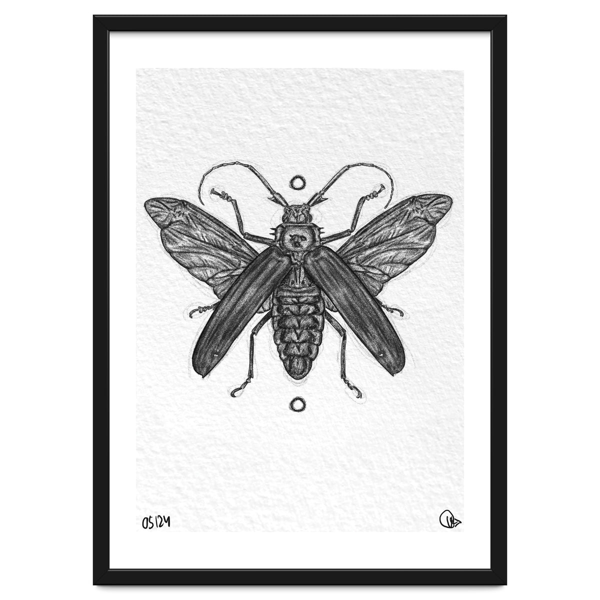 Riesen Longhorn Käfer