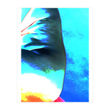 Aqua Fire |  Sea Wall (Print Only) thumbnail
