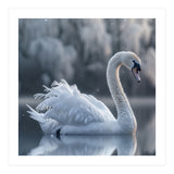 Majestic White Swan Gracefully Floating On Water (Print Only) thumbnail