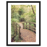 Path To The Bridge thumbnail