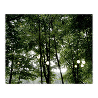 Light bulb among the trees in the summer forest (Print Only)