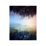 Magic Woods (Print Only) thumbnail