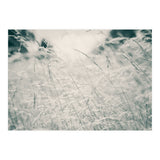 Walking Through Long Grass (Print Only) thumbnail