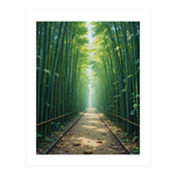 The Emerald Path: A Sun-Drenched Journey (Print Only) thumbnail
