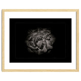 Backyard Flowers In Black And White No 81 with Border thumbnail