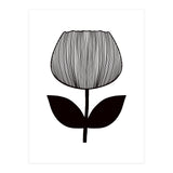 Tulip (Print Only) thumbnail