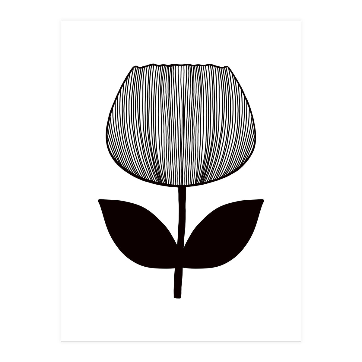 Tulip (Print Only)