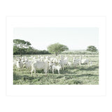 LIVING TOGETHER - WHITE COWS FAMILY (Print Only) thumbnail