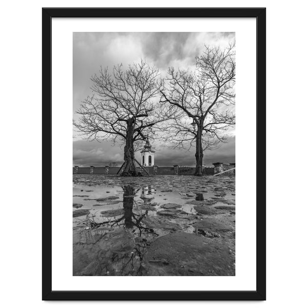 Churches and trees