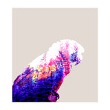 Macaw (Print Only) thumbnail