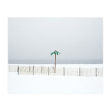 Fake palm tree in the winter snow beach (Print Only) thumbnail