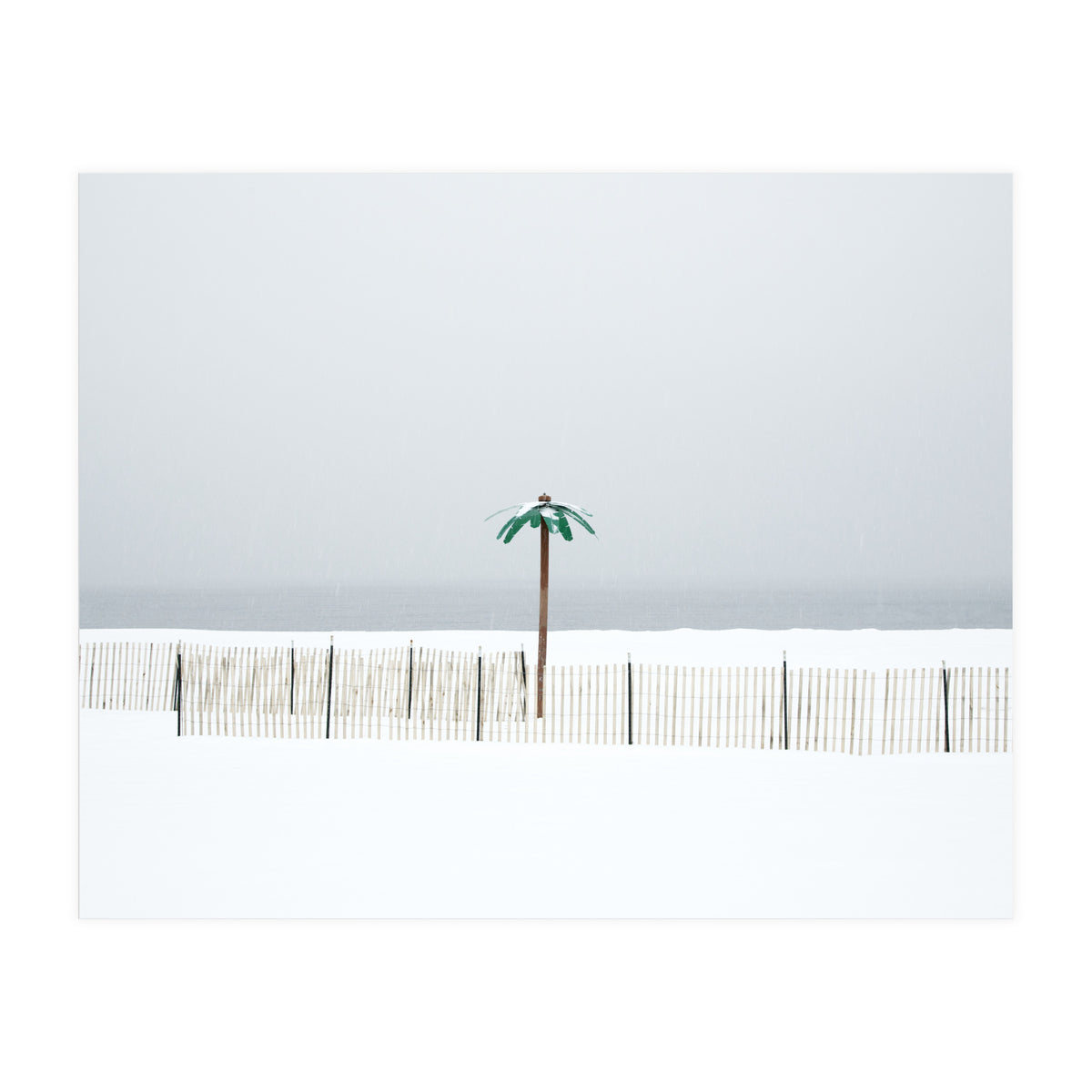 Fake palm tree in the winter snow beach (Print Only)
