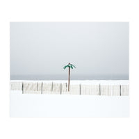 Fake palm tree in the winter snow beach (Print Only)