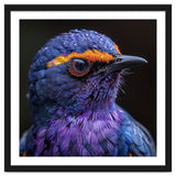 Close Up Portrait Of A Vibrant Exotic Bird thumbnail