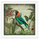Tropical Bird Nostalgia thumbnail