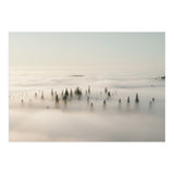 Misty Peaks: Pine Forest Above the Clouds (Print Only) thumbnail