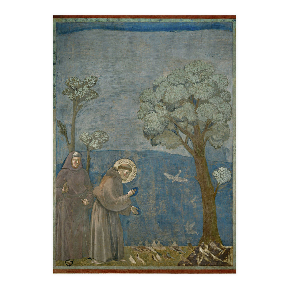 Saint Francis of Assisi preaching to the birds. Giotto. GIOTTO DE BONDONE (1266-1337). (Print Only)