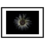 Backyard Flowers No 27 Color Version thumbnail