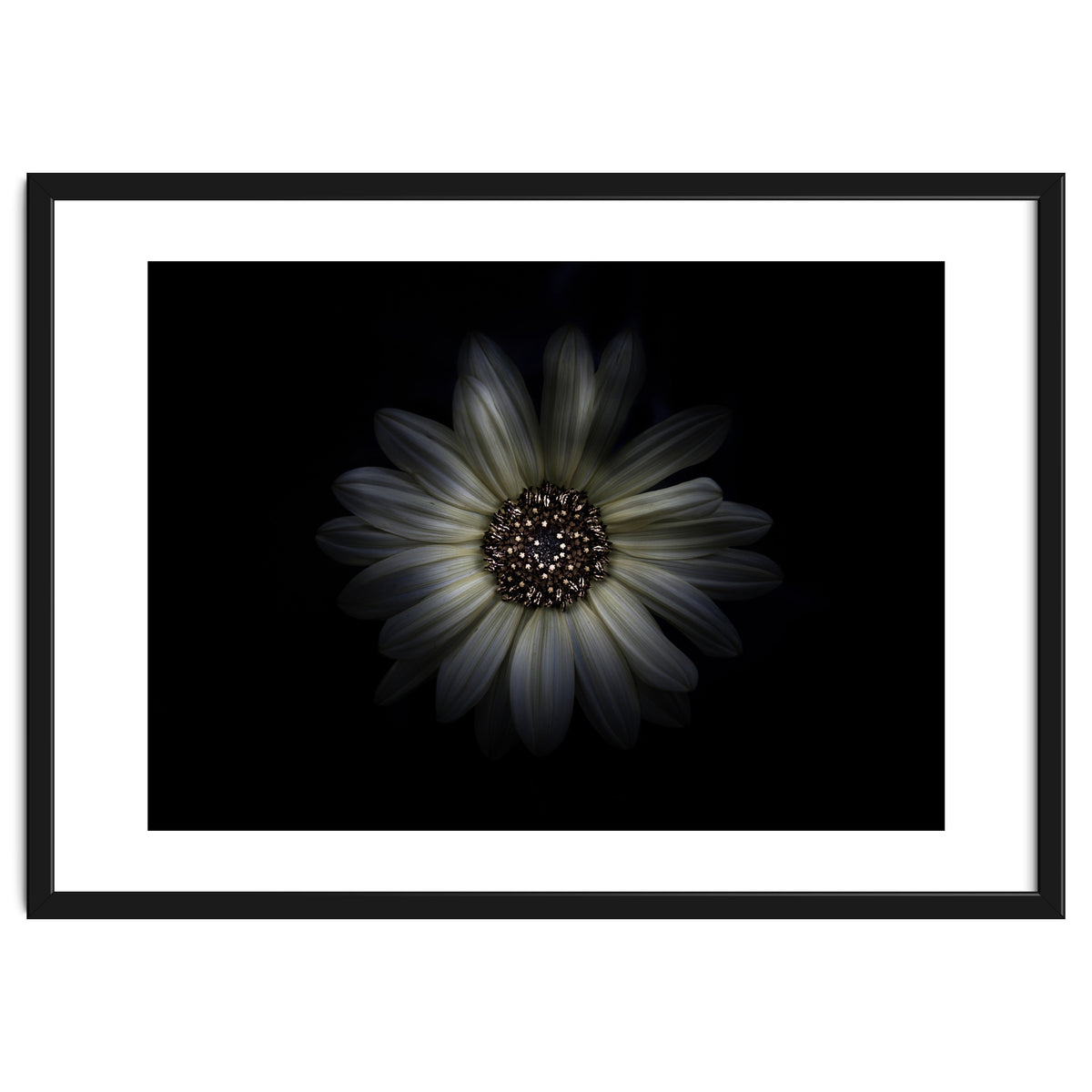 Backyard Flowers No 27 Color Version