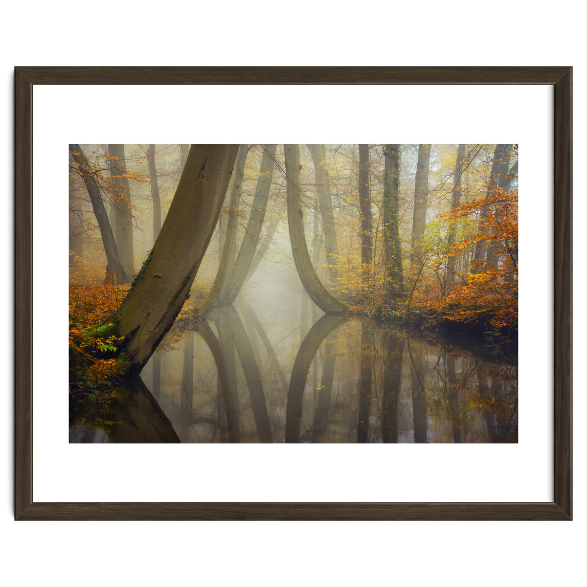 Bent trees in autumn