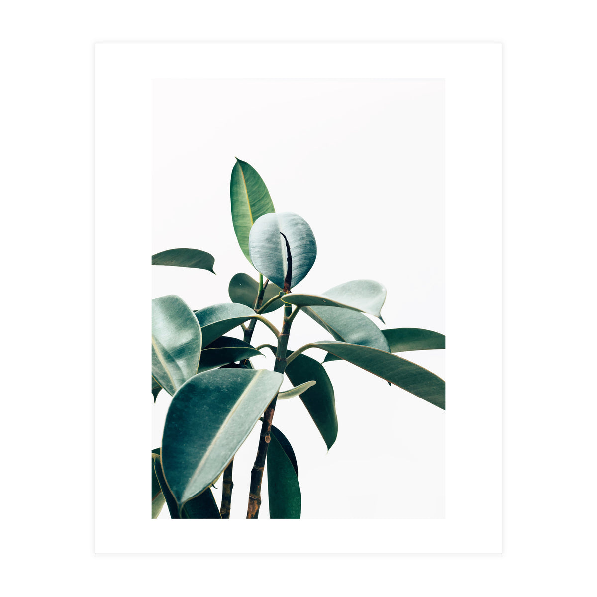 L'amour de ma vie #society6 #decor #buyart (Print Only)